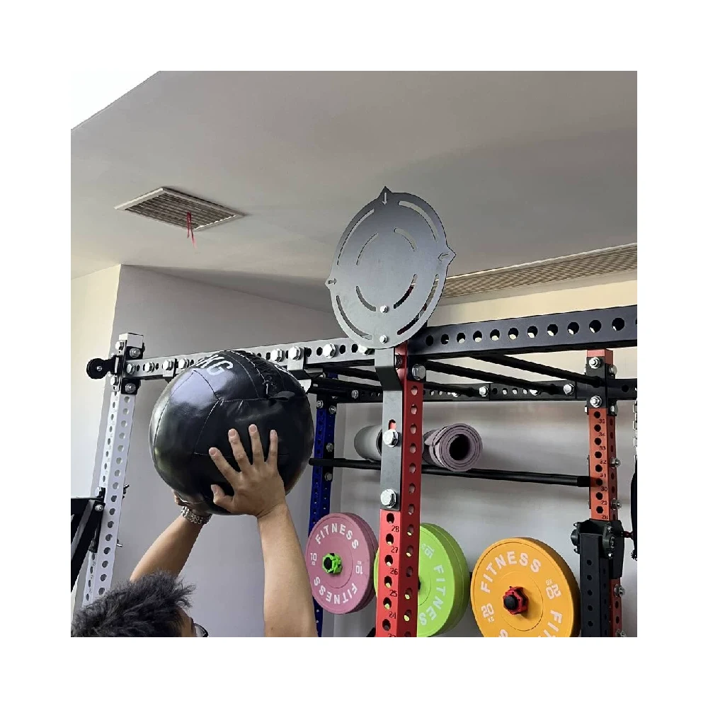 Wall Ball Target - detail view