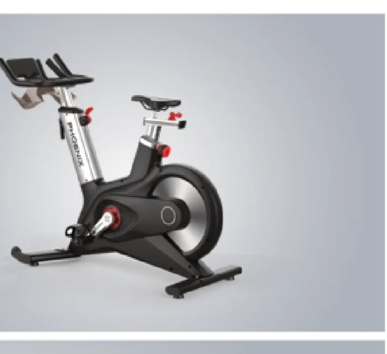 DHZ Indoor Cycling Bike (S300)