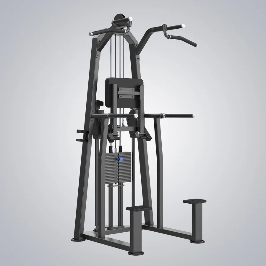 DHZ Dip / Chin Assist (U3009)