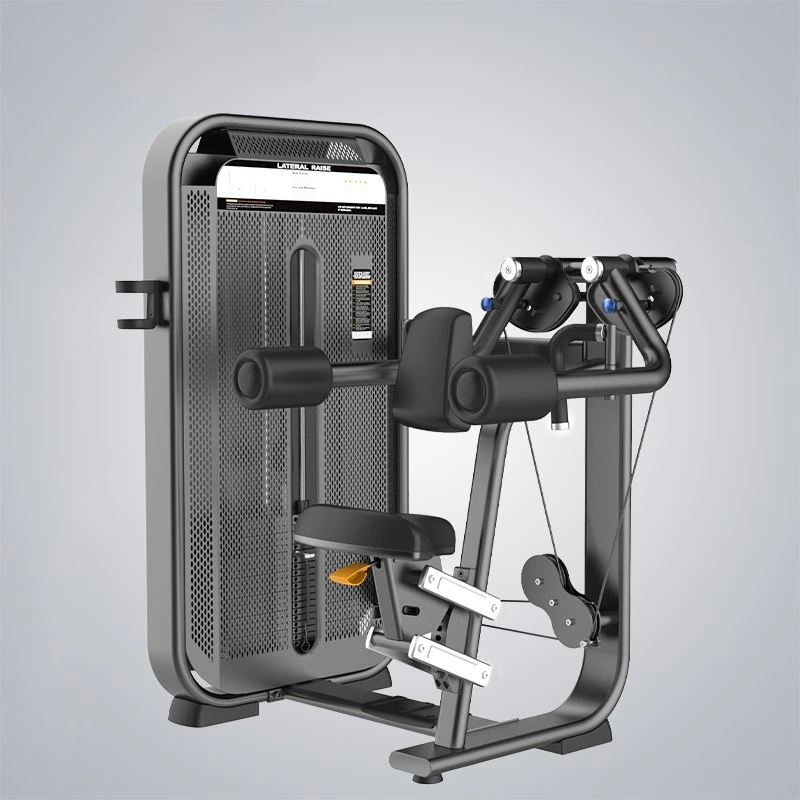 DHZ Lateral Raise (E7005)