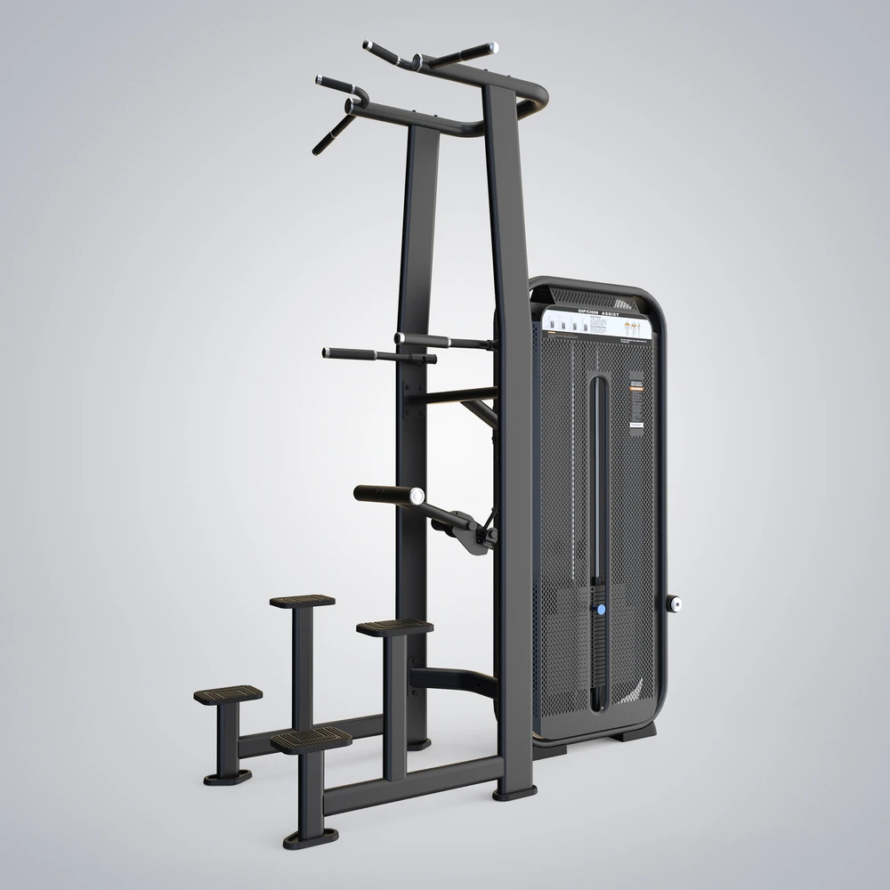 DHZ Dip / Chin Assist (E7009-G01)