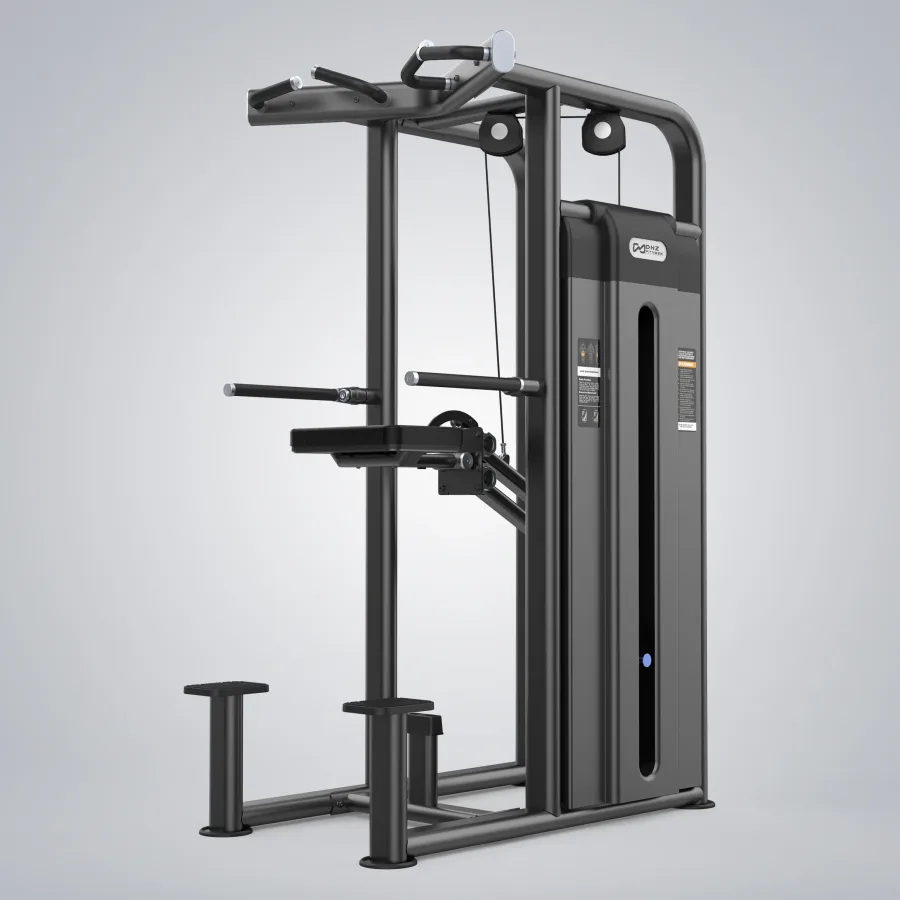 DHZ Dip / Chin Assist (U2009C)